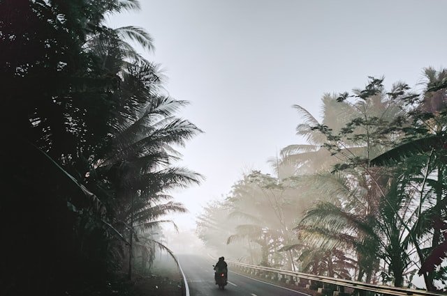 man in black jacket standing on bridge during daytime